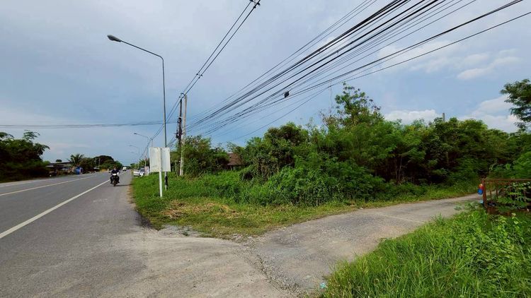 ขายด่วน ที่ดินเปล่า 1 ไร่ ขายรวม 4 แปลง  ถนนลำลูกกา คลอง 12 500 เมตร, ภาพที่ 4