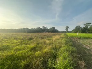 🌳 ขายที่ดินเปล่าเกือบ 5 ไร่ ราคาถูกกว่าตลาด! 📍 ต.ชาก อ.บ้านค่าย จ.ระยอง ที่ดิน 4 ไร่ 3 งาน 41 ตรว. ห่างถนนใหญ่ ชาก–เชิงเนิน เพียง 400 เมตร 🚗