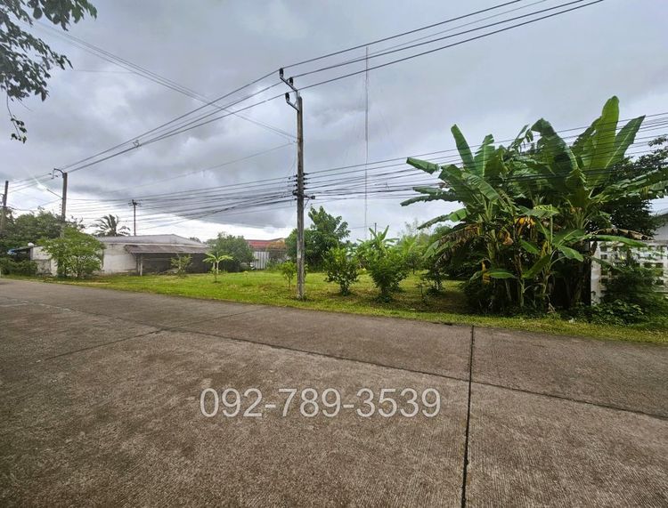 ขายที่ดิน บ้านวังยาง นครชุม กำแพงเพชร 229.7 ตร.วา ม.ราชภัฎกำแพงเพชร, ภาพที่ 4