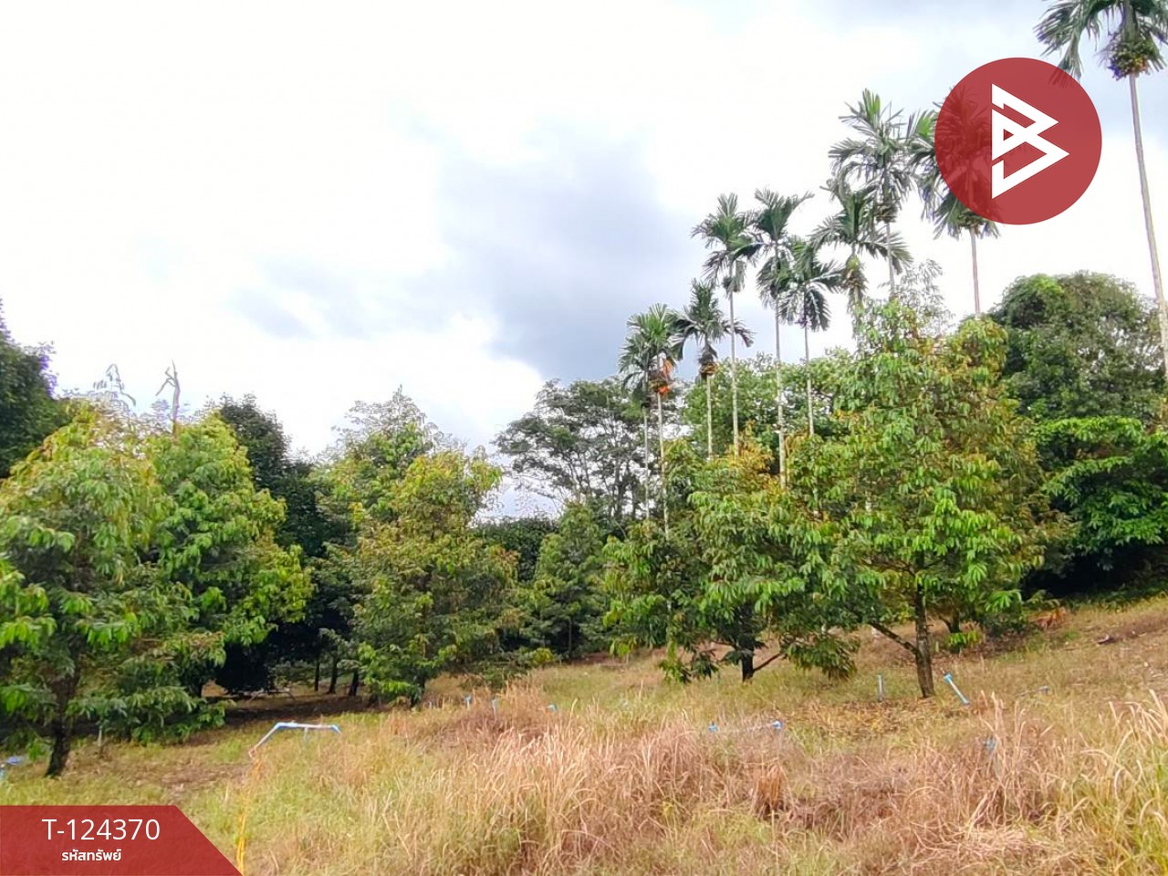 ขายที่ดิน เนื้อที่ 3 ไร่ 60 ตร.วา โป่งน้ำร้อน จันทบุรี