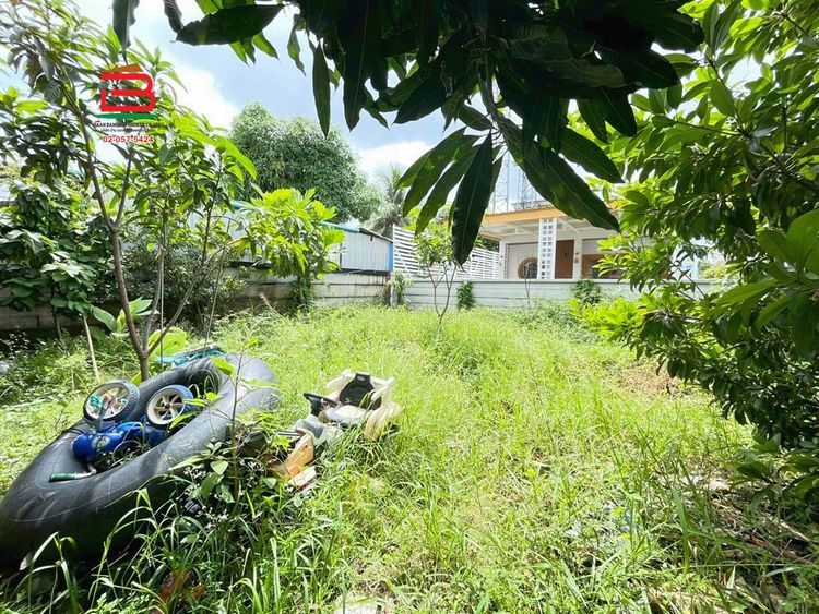 ที่ดินพร้อมบ้าน หทัยราษฎร์ ซ.5 เนื้อที่ 100 ตร.ว ใกล้ทีซีเอสทรานสปอร์ต , ภาพที่ 4