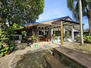 ขายบ้านพร้อมที่ดินเป็นบ้านมรดก อยู่มา 16 ปี บรรยากาศดี สงบ เหมาะสำหรับอยู่อาศัย น้ำไม่ท่วม100%