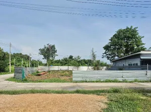 ขาย/เช่า ที่ดินชลบุรี 100 ตรว ห่างจากถนน344 1 กม. (เช่าฟรี1เดือน)
