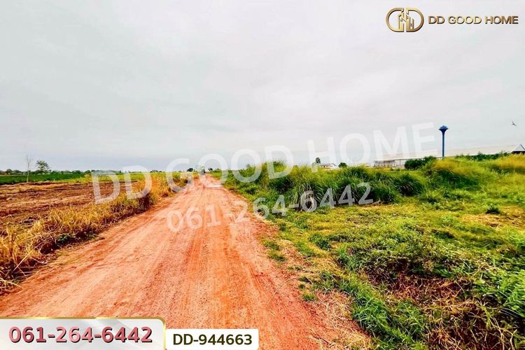 DD-944663 ที่ดินหนองหว้า 44 ไร่ 119 ตร.ว. กุมภวาปี อุดรธานี, ภาพที่ 4