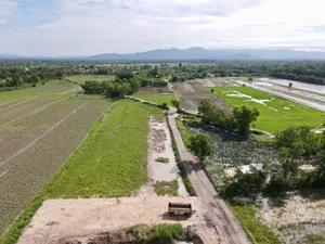 บ้านนาฟิลแลนวิวเขาไฟฟ้า ประปาพร้อมห่างนครนายก2กม.วิวท้องทุ่งเงินสด ฟรีโอน