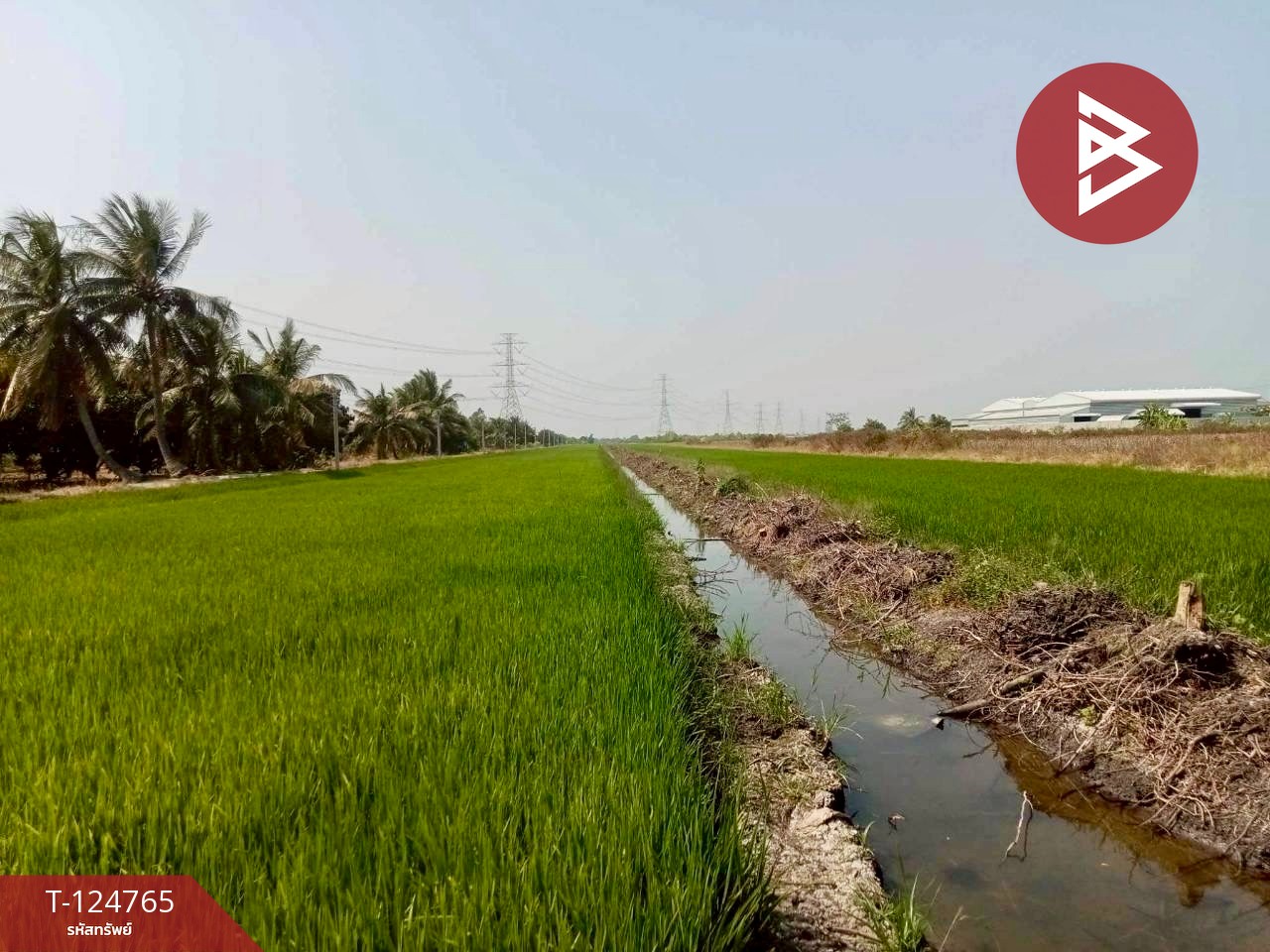 ขายที่ดิน เนื้อที่ 9 ไร่ 2 งาน 76.7 ตร.วา ไทรน้อย นนทบุรี