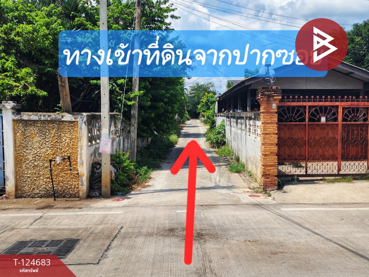 ขายที่ดิน เนื้อที่ 1 งาน 17 ตร.วา บ้านใต้ กาญจนบุรี