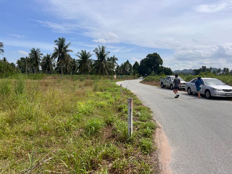 ขาย ที่ดิน ตำบลหนองปลาไหล อำเภอบางละมุง จังหวัดชลบุรี, ภาพที่ 4