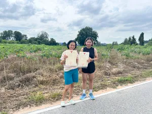 ขาย ที่ดิน ตำบลหนองปลาไหล อำเภอบางละมุง จังหวัดชลบุรี