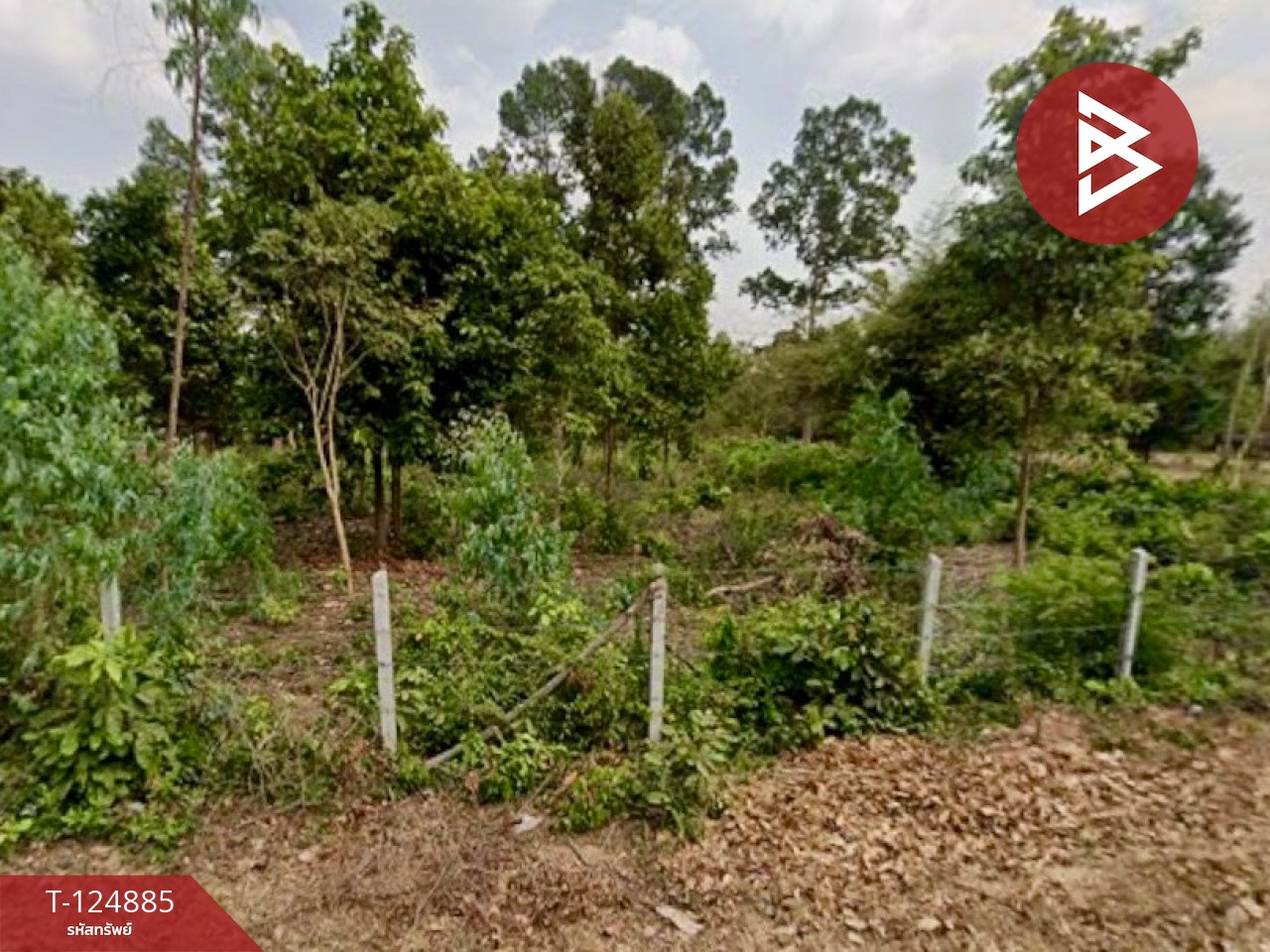 ขายที่ดิน เนื้อที่ 4 ไร่ ต.บ้านดงแดง จตุรพักตรพิมาน ร้อยเอ็ด