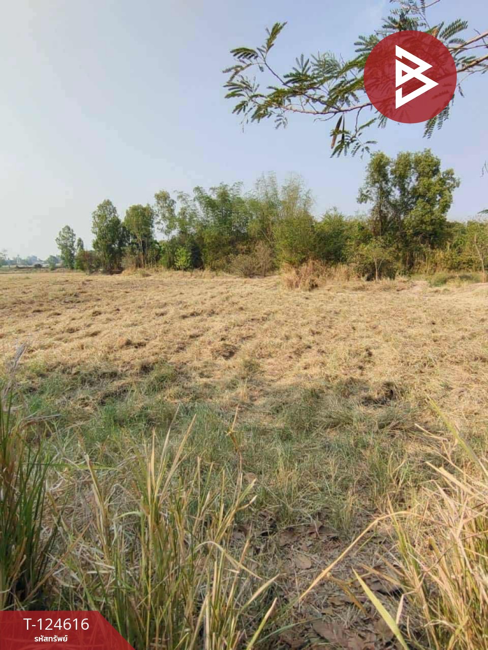 ขายที่ดิน เนื้อที่ 4 ไร่ 3 งาน 22 ตร.วา ลาดยาว นครสวรรค์