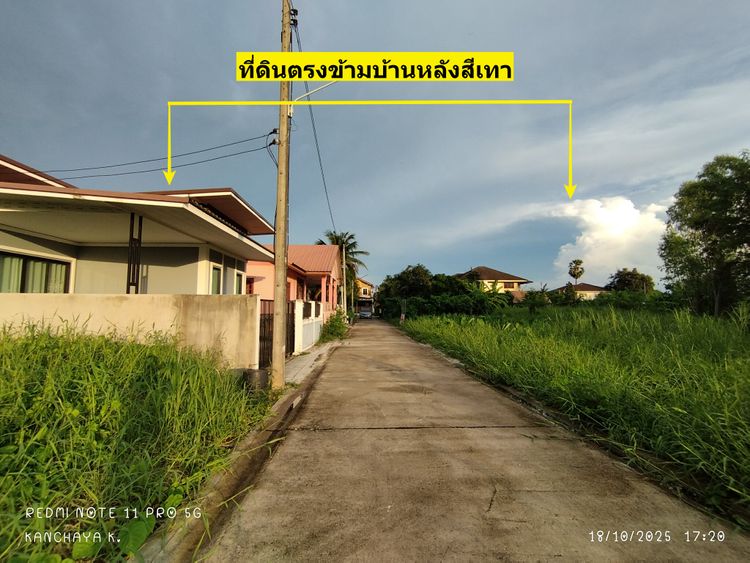 ขาย ที่ดิน ตำบลบ้านคลอง อำเภอเมืองพิษณุโลก จังหวัดพิษณุโลก, ภาพที่ 4