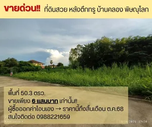 ขาย ที่ดิน ตำบลบ้านคลอง อำเภอเมืองพิษณุโลก จังหวัดพิษณุโลก
