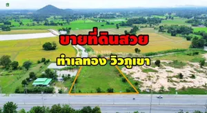 ขายที่ดิน เนื้อที่ 2-2-96 ไร่ ต.หนองนางนวล อ.หนองฉาง จ.อุทัยธานี