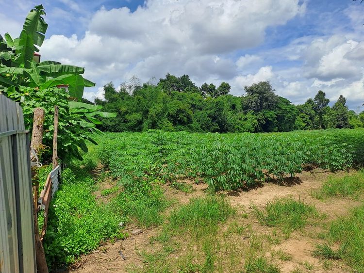 ขายที่ดินติดแม่น้ำปิง กำแพงเพชร, ภาพที่ 4