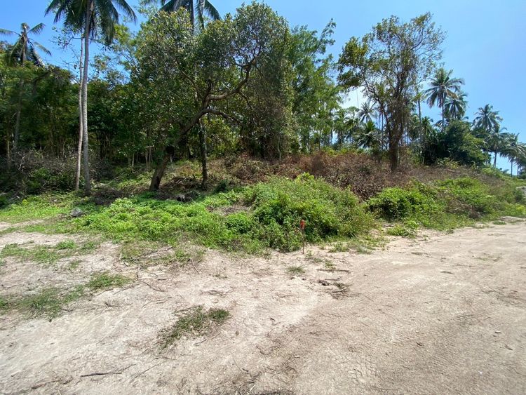 ขายที่ดินเปล่าวิวภูเขาเกาะสมุย ที่ดินพร้อมโอน อยู่ใกล้ Baan Tipviman, ภาพที่ 4