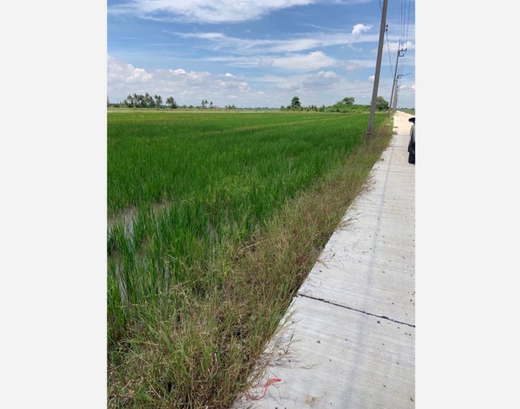 Call : 087-755-4114 ขายที่ดินเปล่า 2 ไร่ หน้ากว้าง 54 เมตร ลึก 60 เมตร, ภาพที่ 4