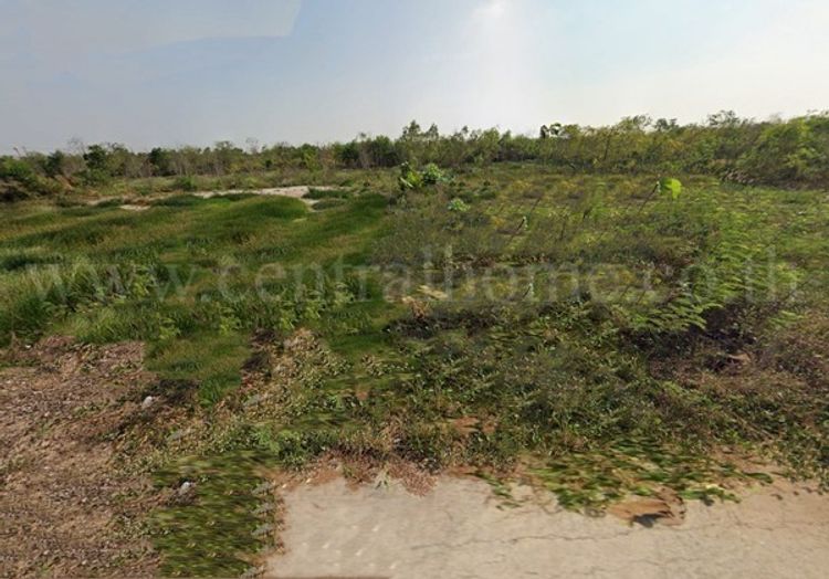 ที่ดินเปล่า 156.7 ตร.วา ถมแล้ว บัวปากท่า บางเลน - นครปฐม , ภาพที่ 4