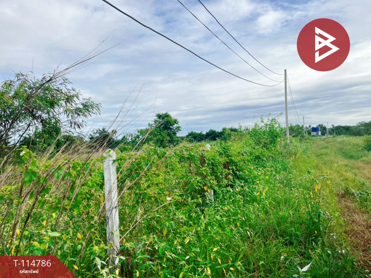 ขายที่ดิน เนื้อที่ 1 ไร่ ต.เลาขวัญ อ.เลาขวัญ  จ.กาญจนบุรี