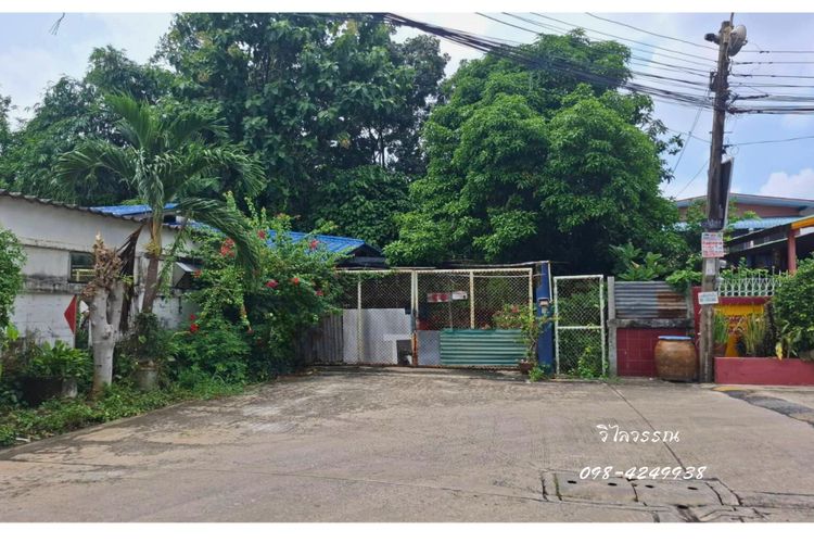 ขายที่ดิน ถมแล้ว ซอยคู้บอน 40 เข้าซอย 240 ม. พร้อมไม้ยืนต้น เขตมีนบุรี, ภาพที่ 4