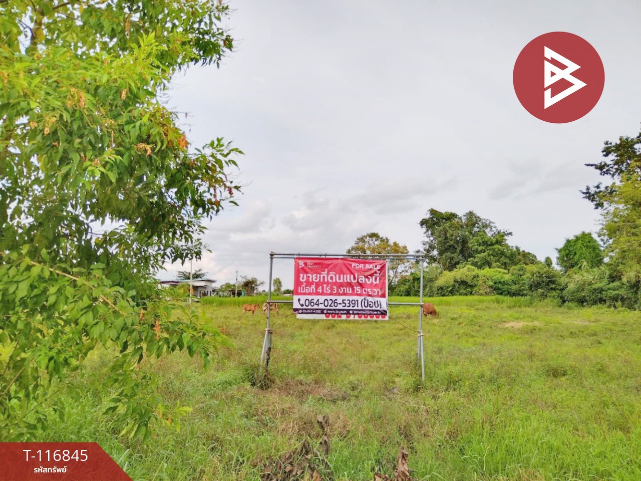 ขายที่ดิน เนื้อที่ 4 ไร่ 3 งาน 15 ตร.วา ในเมือง หนองคาย
