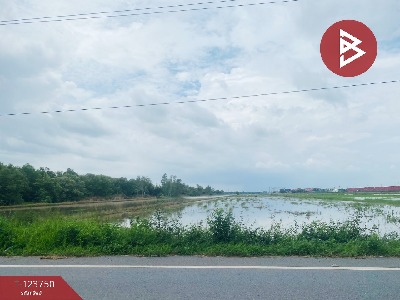 ขายที่ดิน เนื้อที่ 3 ไร่ 3 งาน ลำลูกกา ปทุมธานี