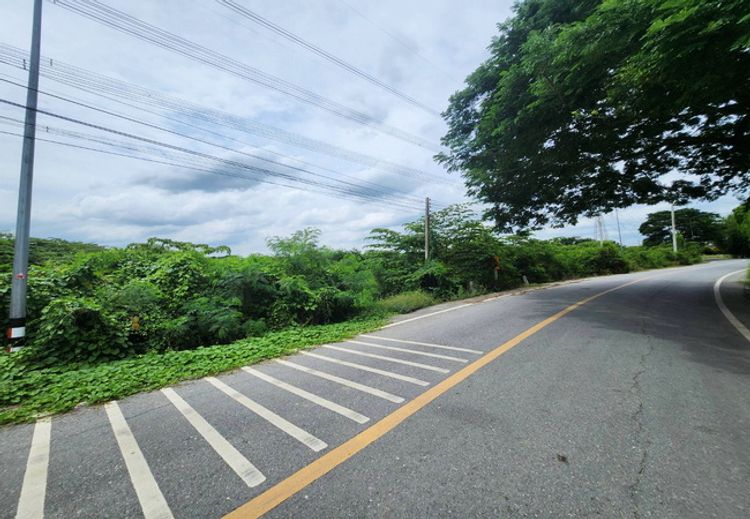 ขายที่ดิน เมืองนครปฐม ถนนมาลัยแมน ตำบลทัพหลวง อำเภอเมือง นครปฐม, ภาพที่ 4