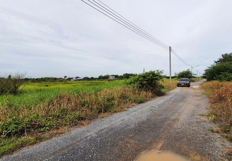 ขายที่ดิน หนองเสือคลอง 10 ถนนรังสิต-นครนายก อำเภอหนองเสือ ปทุมธานี, ภาพที่ 4