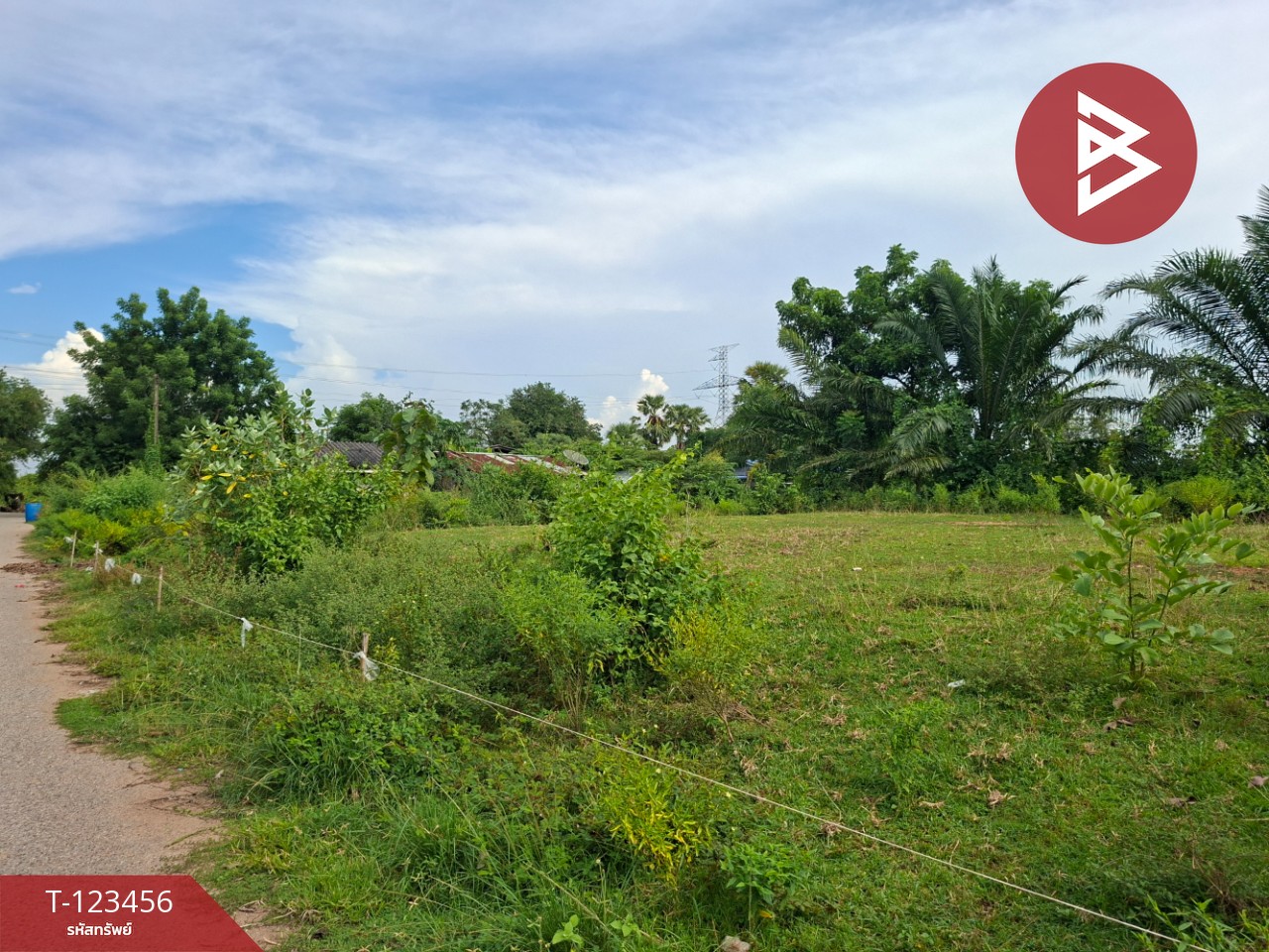 ขายที่ดิน เนื้อที่ 6 ไร่ 2 งาน 93 ตร.วา พนัสนิคม ชลบุรี