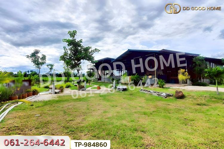 TP-984860 ที่ดินพร้อมบ้านเดี่ยวหนองมะโมง 1 ไร่ (บ้านกลางนาโฮมสเตย์), ภาพที่ 4