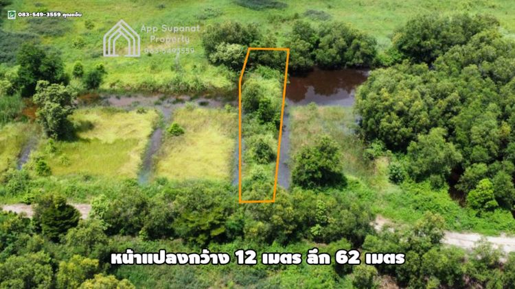 ขายที่ดิน เนื้อที่ 200ตร.ว. ต.ลำตาเสา อ.วังน้อย จ.พระนครศรีอยุธยา, ภาพที่ 4