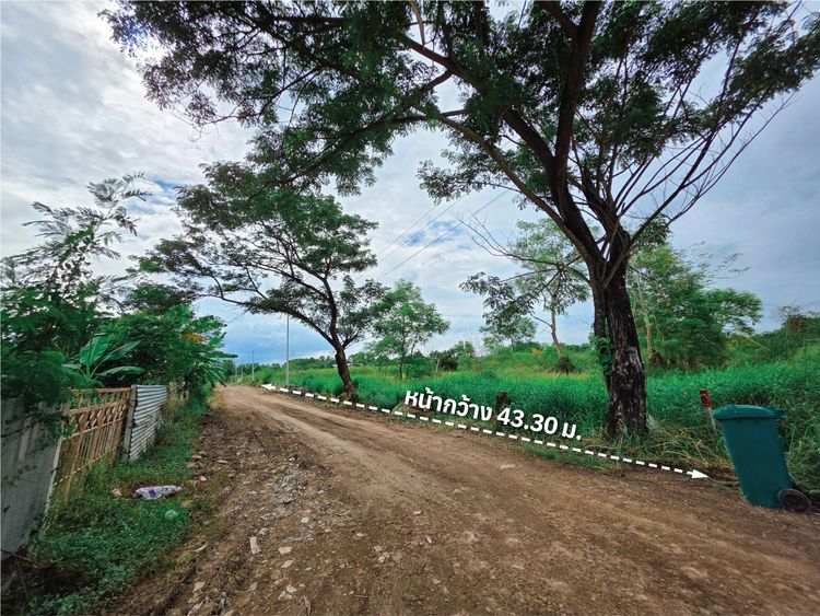 ขายที่ดินทำเลทอง คลองสี่ คลองหลวง ปทุมธานี ขนาด 1 ไร่ 2 งาน 28 ตร.ว., ภาพที่ 4