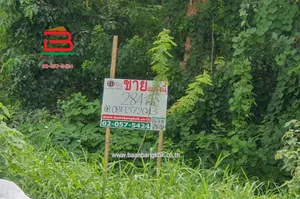 ที่ดินเปล่า หมู่บ้าน ฟีนิกซ์ ปาร์ค ซอยไอยรา 28 เนื้อที่ 284 ตรว. ถนนไอยรา ตำบลคลองสอง อำเภอคลองหลวง จังหวัดปทุมธานี