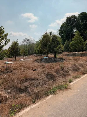 สวนยางพร้อมผลไม้ ระยอง 5 ไร่กว่า, ระยอง