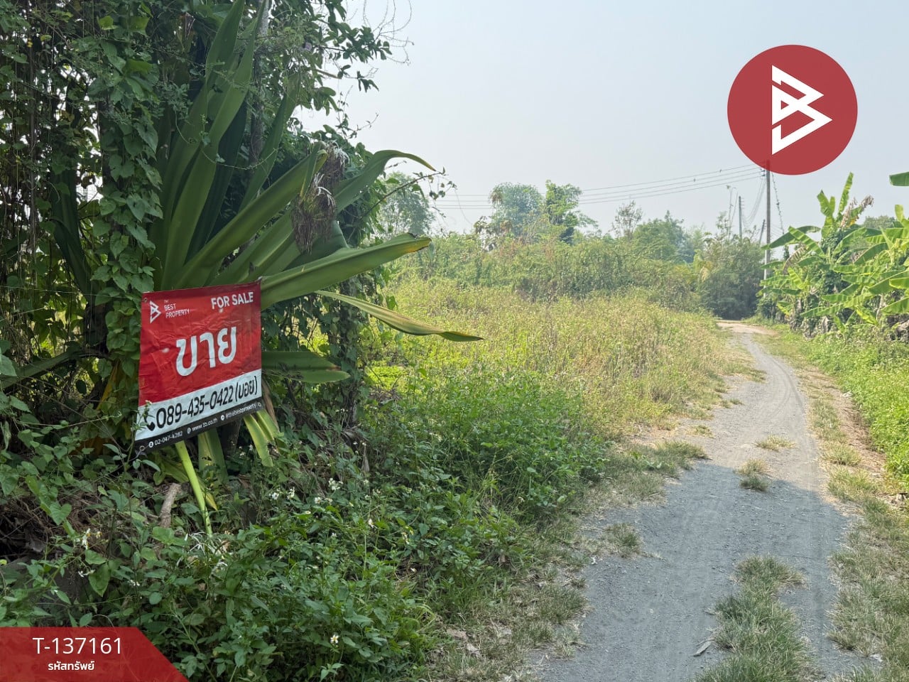 ขายที่ดิน เนื้อที่ 83 ตร.วา สารภี เชียงใหม่