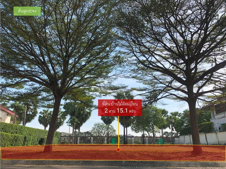 แปลงมุมสุดท้าย! บ้านไม้ล้อมเรือน/พร้อมพันธุ์ ปาร์ค ขายที่ดิน (215 ตรว.), ภาพที่ 4