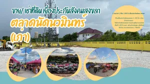 ขายและให้เช่า ที่ดิน ตำบลพะวง อำเภอเมืองสงขลา จังหวัดสงขลา