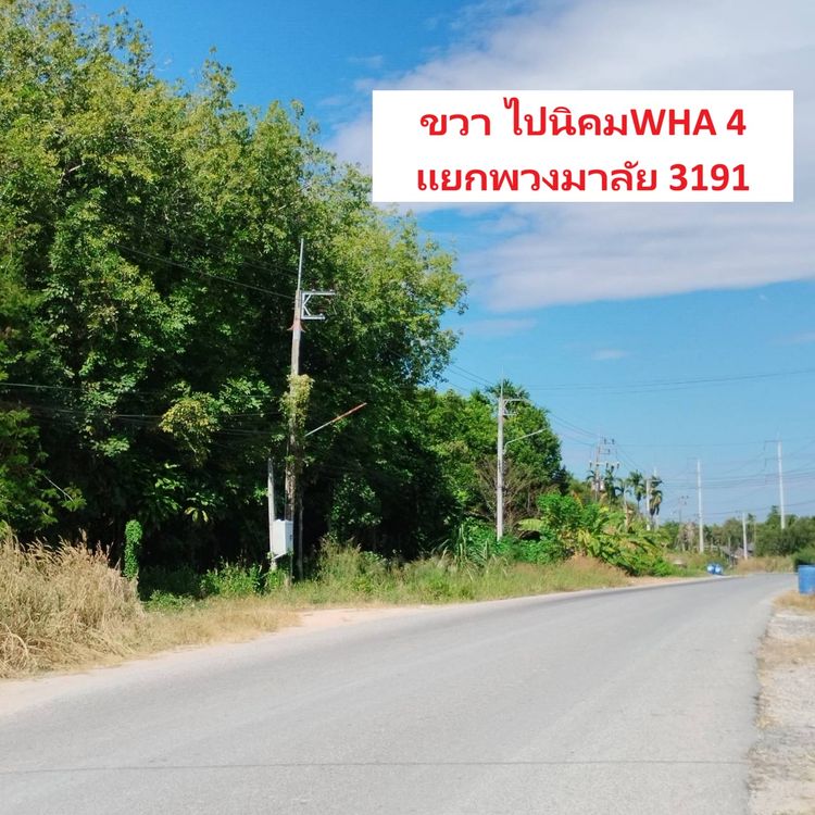 ให้เช่าที่ดิน 4ไร่ แม่น้ำคู้ ปลวกแดง ระยอง ใกล้ WHA 4 เพียง5นาที, ภาพที่ 4