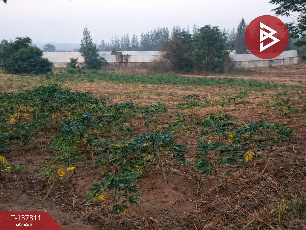 ขายที่ดิน เนื้อที่ 7 ไร่ 2 ตร.วา พัฒนานิคม ลพบุรี ติดโรงงาน เหมาะลงทุน