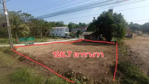 ให้เช่า ที่ดิน ติดถนนเส้นหลัก ป่าคลอก-บ้านพารา