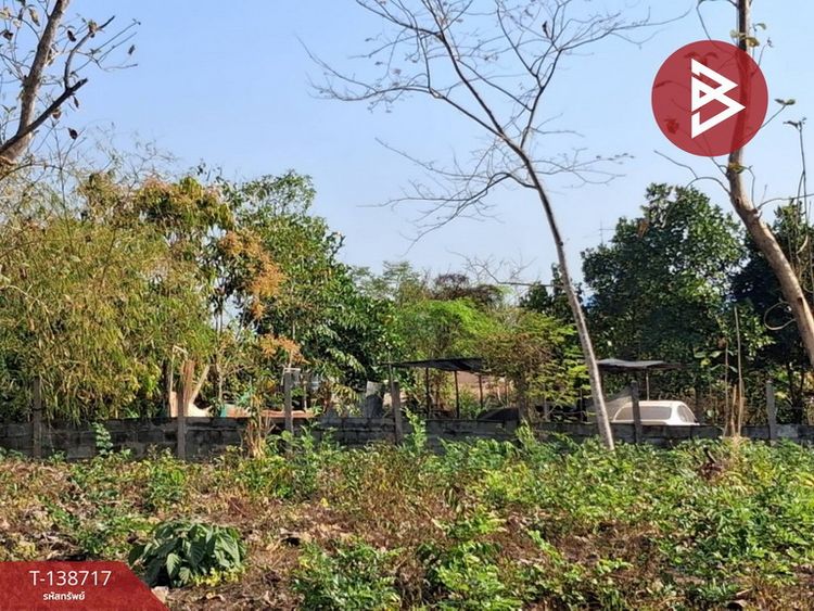 ขายที่ดิน เนื้อที่ 2 งาน ท่าเสา อุตรดิตถ์, ภาพที่ 4
