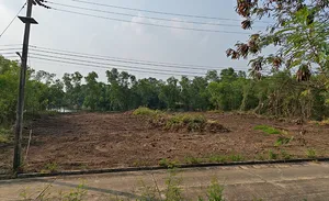 ขายต่ำกว่าราคาประเมิน ที่ดิน อ.วังน้อย 1 ไร่ สนามกอล์ฟ นอร์ทเทิร์นรังสิต