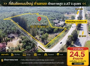 ขายที่ดินศักยภาพสูง ติดถนนใหญ่ (ทางหลวง 41) ทำเลทอง อ.สวี จ.ชุมพร