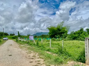 ขายที่ดินวิวภูเขา แม่วาง เชียงใหม่