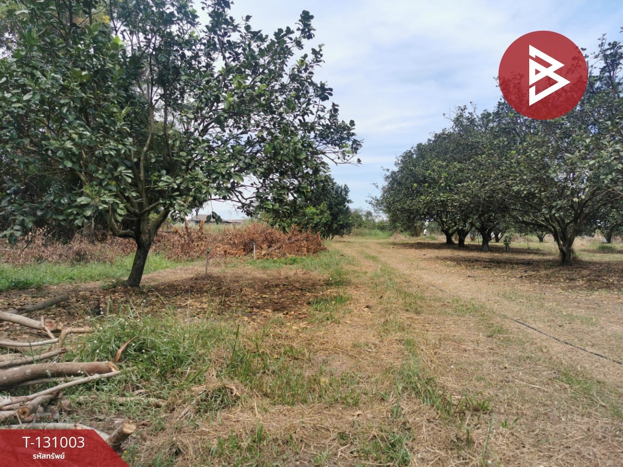 ขายที่ดิน เนื้อที่ 4 ไร่ 3 งาน 77 ตร.วา ศรีมหาโพธิ ปราจีนบุรี