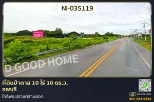 ที่ดินป่าตาล 10 ไร่ 10 ตร.ว. ลพบุรี ใกล้พระปรางค์สามยอด NI-035119