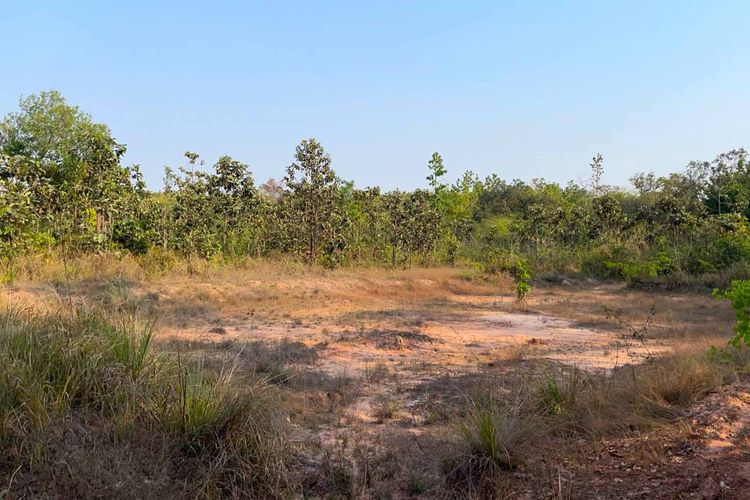 🔥 โคตรถูก! ช้าหมดอดแน่นอน! ที่ดิน อ.พิบูลมังสาหาร จ.อุบลฯ 5 ไร่กว่า 8, ภาพที่ 4