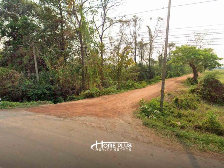 ที่ดินตำบลวัดตายม 23 ไร่ ใกล้ถนนหมายเลข 11 อำเภอบางกระทุ่ม, ภาพที่ 4