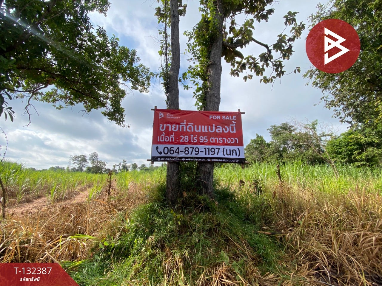 ขายที่ดิน เนื้อที่ 28 ไร่ 95 ตร.วา นาจารย์ กาฬสินธุ์