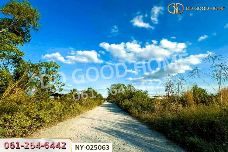 NY-025063 ที่ดินแหลมสิงห์ 15 ไร่ 112 ตร.ว. จันทบุรี ใกล้ฟาร์ม ซีพี, ภาพที่ 4